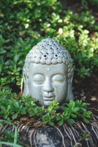 Buddha head on stone with green plants around