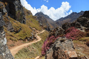 Main road to the sacred Gosaikunda lake in the heart of Nepal