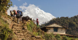Person carrying tourist's load on the steps near mountain - traveling in nepal
