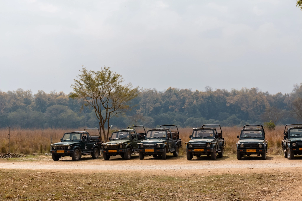 Chitwan black jeep lined up - Himalayan Winter Jeep Safari
