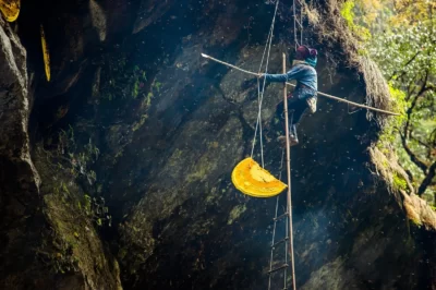 Traditional Honey Hunting in the Annapurna Region of Nepal
