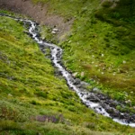 Water Stream - Understanding the risks of drinking untreated water in the Himalayan region
