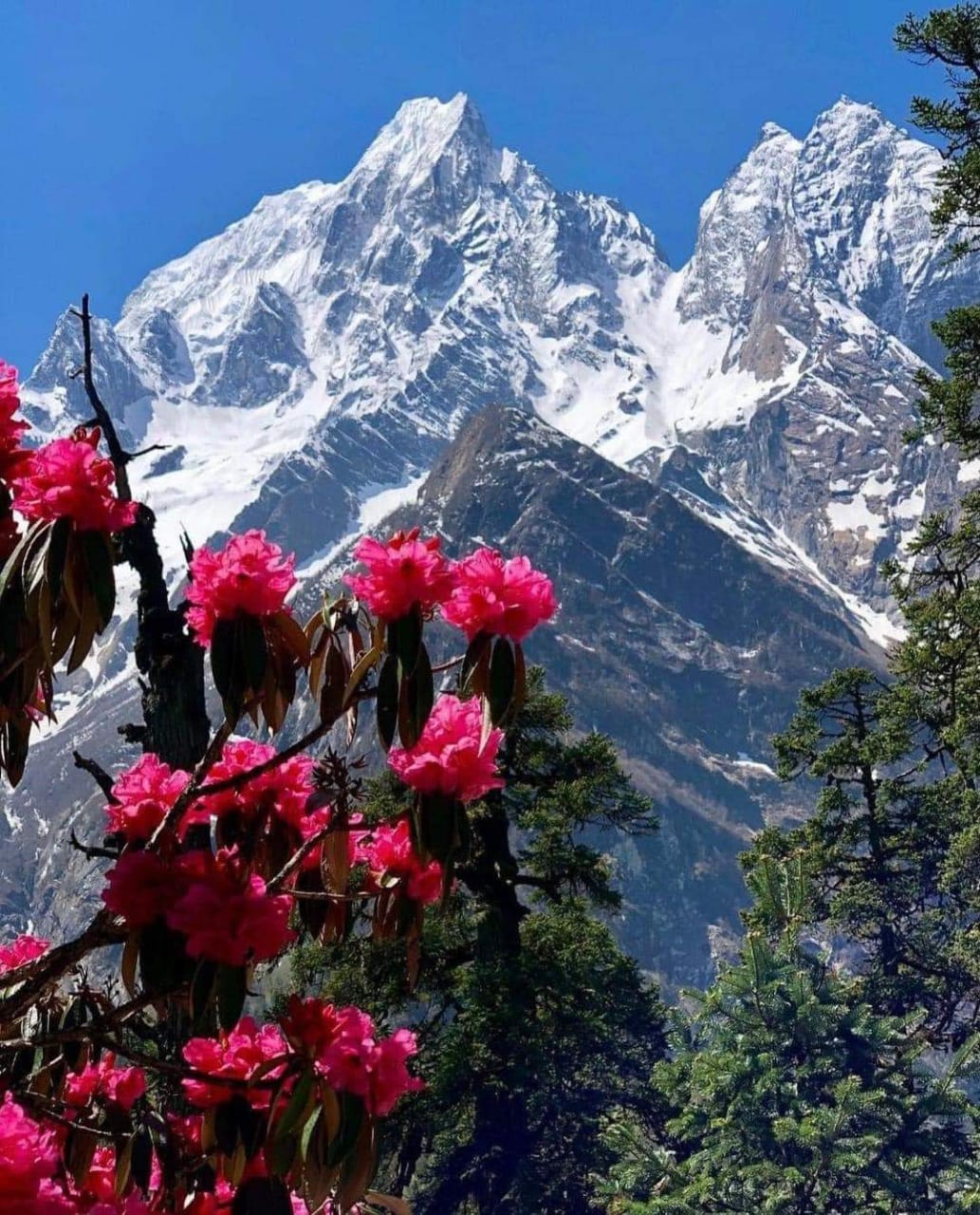 Uttarakhand’s topography is challenging, with the mountainous state of Himachal Pradesh to the Northwest, Tibet to the Northeast, Nepal in the Southeast and the state of Uttar Pradesh in the South.